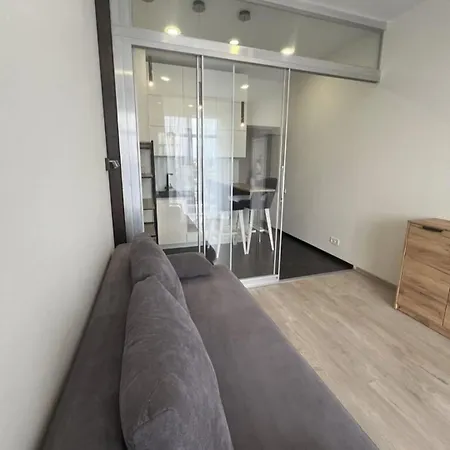 у моря, чайка *