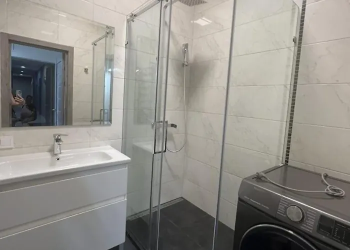 у моря, чайка