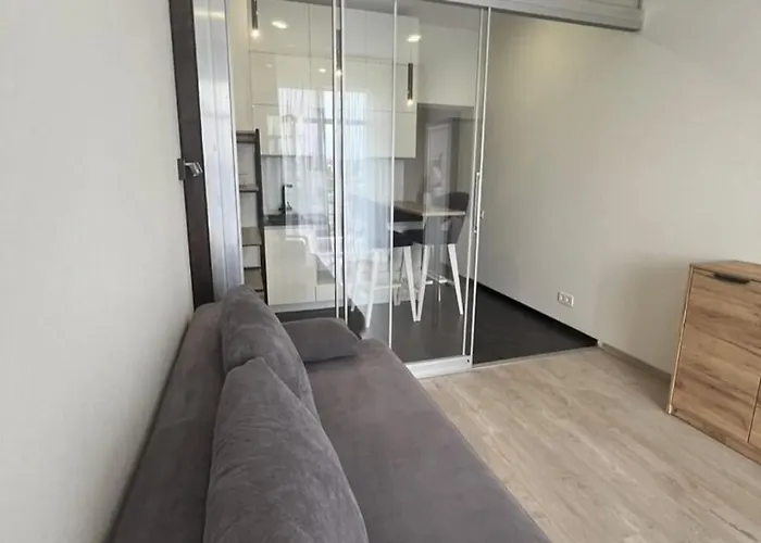 у моря, чайка *