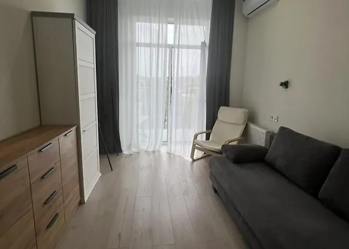 у моря, чайка