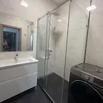 у моря, чайка